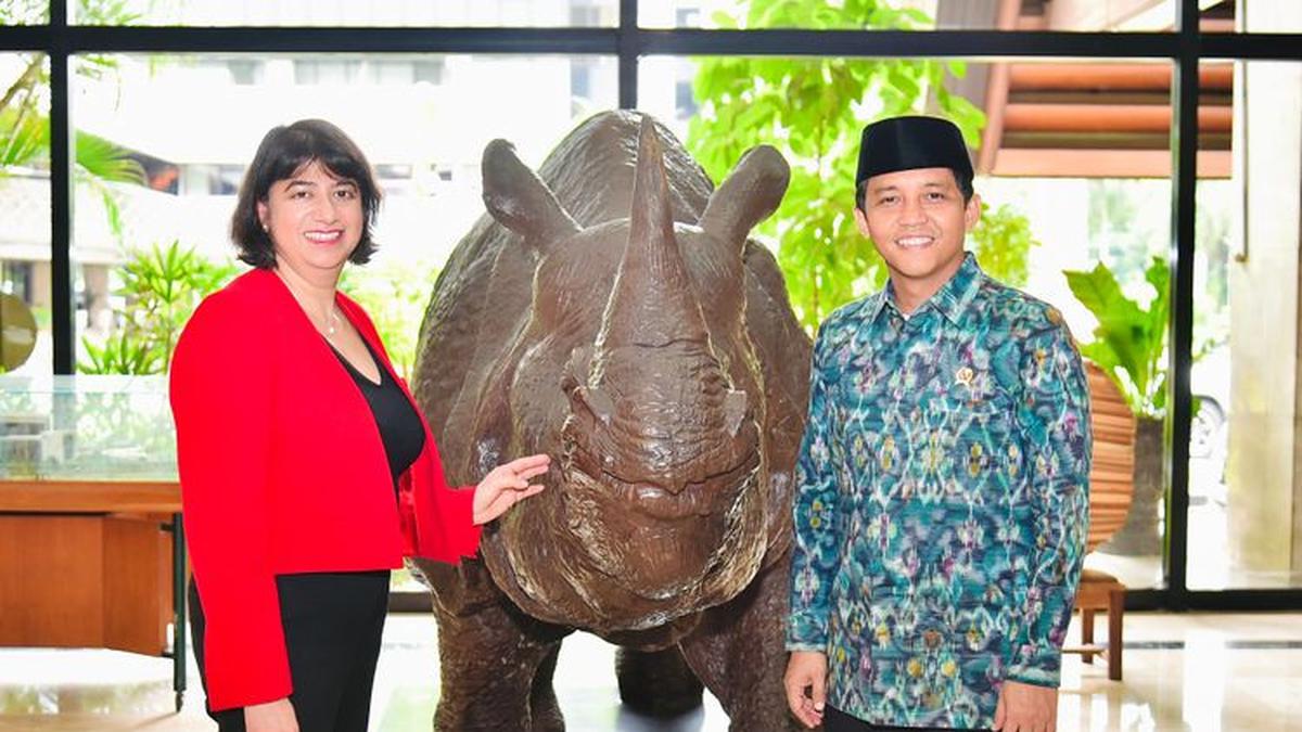 Indonesia dan Inggris meluncurkan proyek PECI untuk memperkuat pembiayaan konservasi Gajah Sumatera.