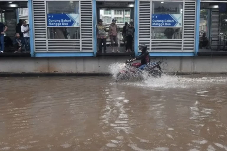 Hujan deras memicu banjir dan melumpuhkan rute TransJakarta Puri Beta-Petukangan.