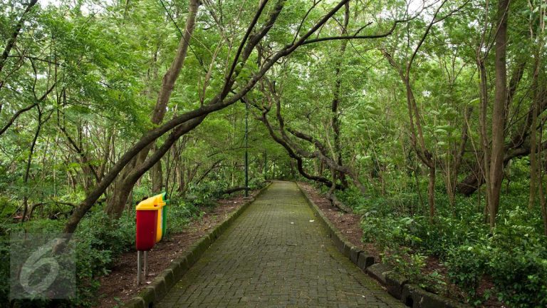 Hutan Kota Cawang Diawasi Ketat: Patroli Malam Digencarkan demi Keamanan Warga!