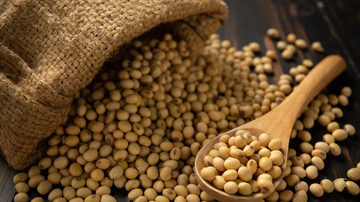 Impor Kedelai RI Melonjak 2026