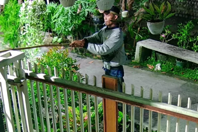 Pencurian Pakaian Dalam Lamongan
