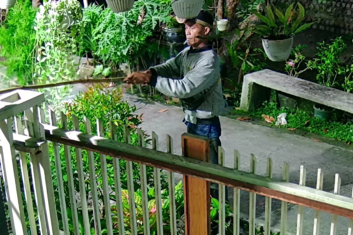 Pencurian Pakaian Dalam Lamongan